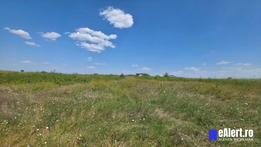 Teren Construcții intravilan de 855 mp, în Mogoșoaia