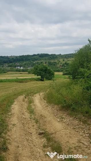 Teren în Lăschia