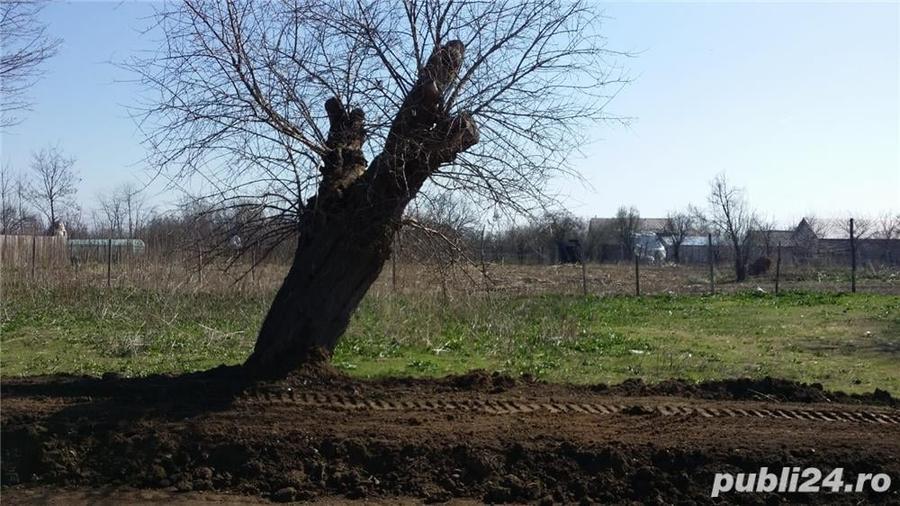 Teren de 2600 mp, în Giurgița