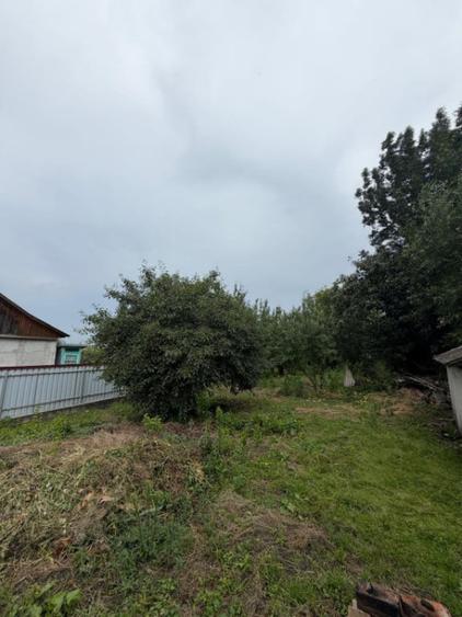 Casă cu 2 camere cu Teren 2100 Mp în Bălcăuți