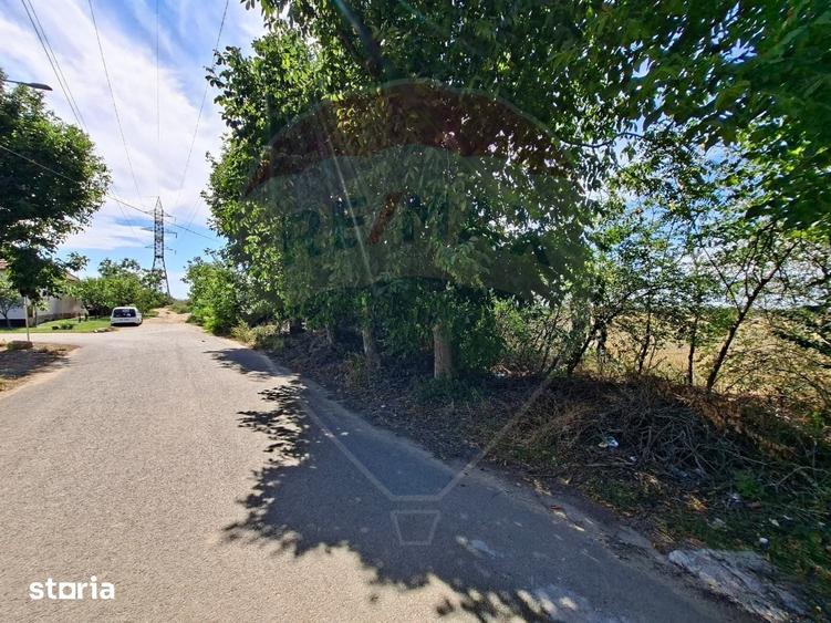 Teren de 5316 mp, în Aradul Nou