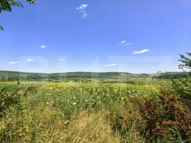 Teren intravilan/extravilan, 3150 mp, zona Schitu Duca - 1