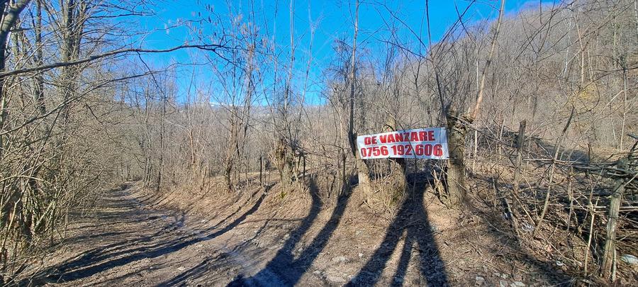 Teren agricol intravilan de 2142 mp, în Podul Lung