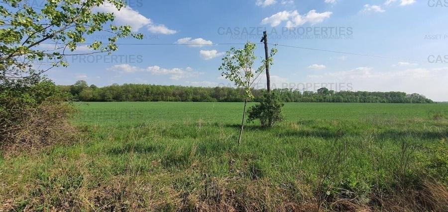 Teren agricol intravilan de 17900 mp, în Răcari