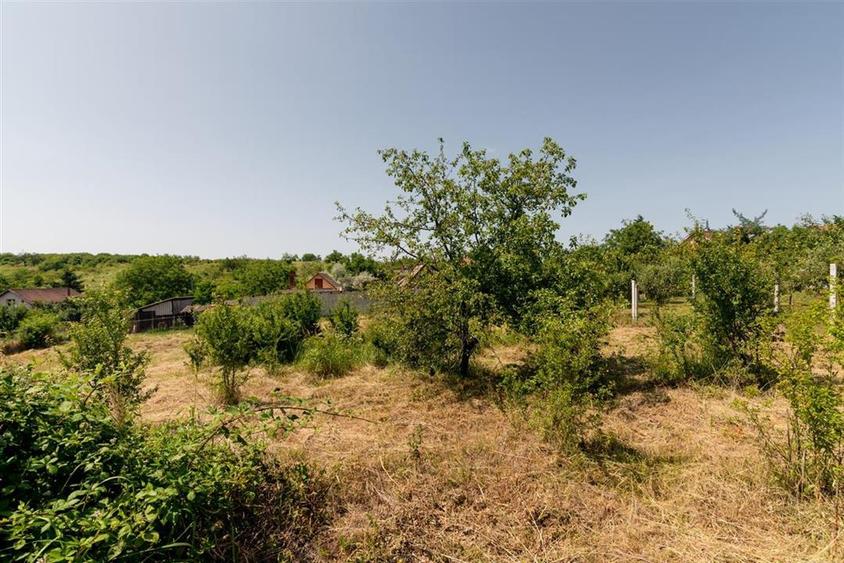 Teren intravilan de 1200 mp, în Paleu