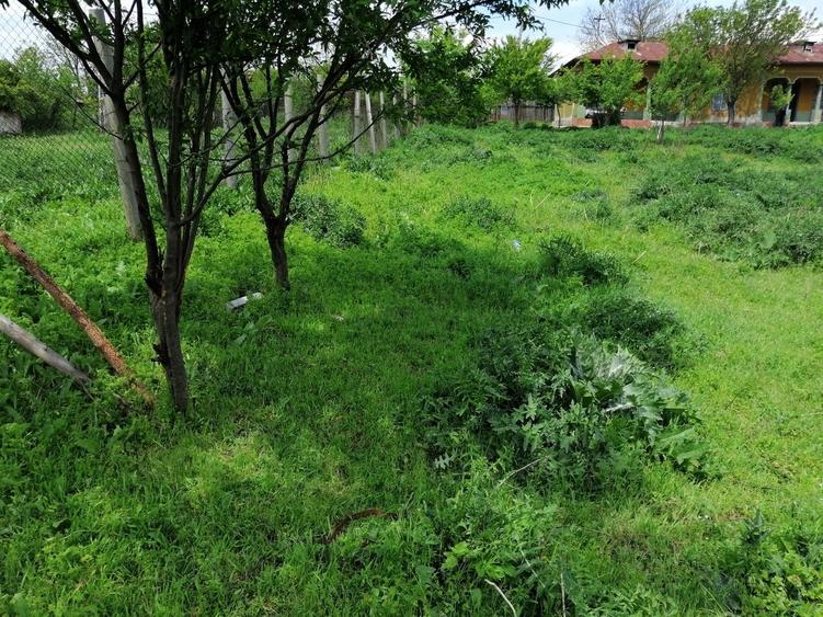Casă cu 4 camere cu Teren 2300 Mp în Sud