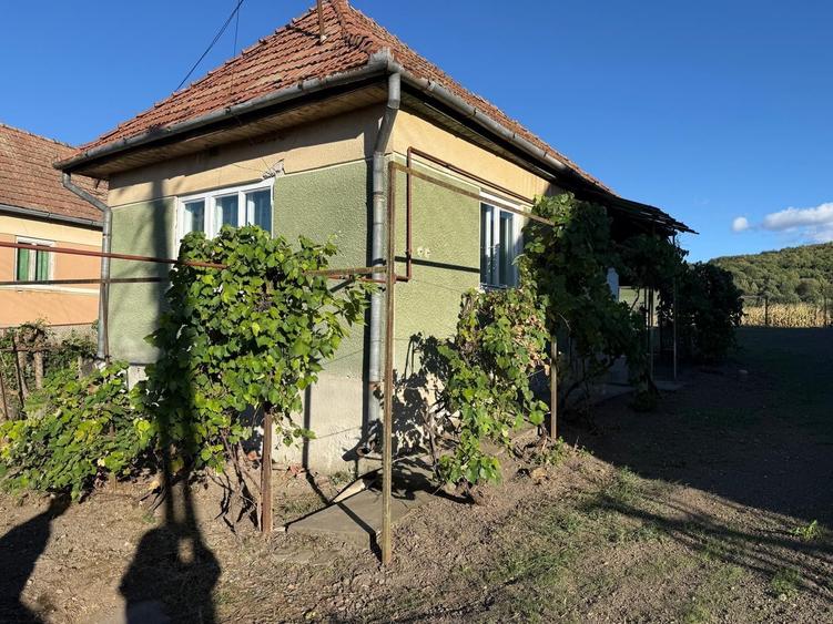 Casă cu 2 camere în Ernei