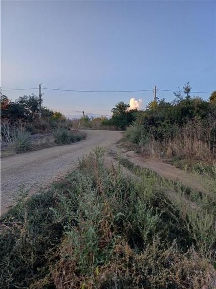 Teren agricol intravilan de 70000 mp, în Ferme