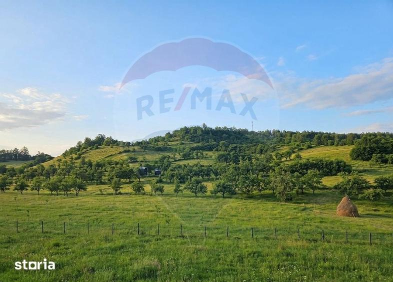 Teren de 4301 mp, în Bârsana