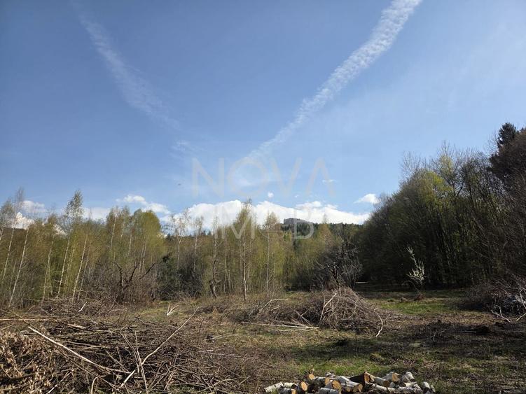 Teren Construcții intravilan de 4900 mp, în Viștișoara