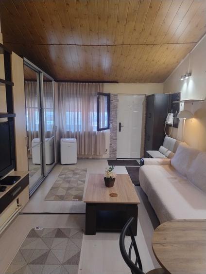 Apartament/ Studio de inchiriat - 7