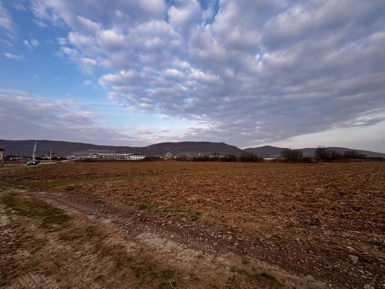 Teren agricol extravilan de 2500 mp, în Sud