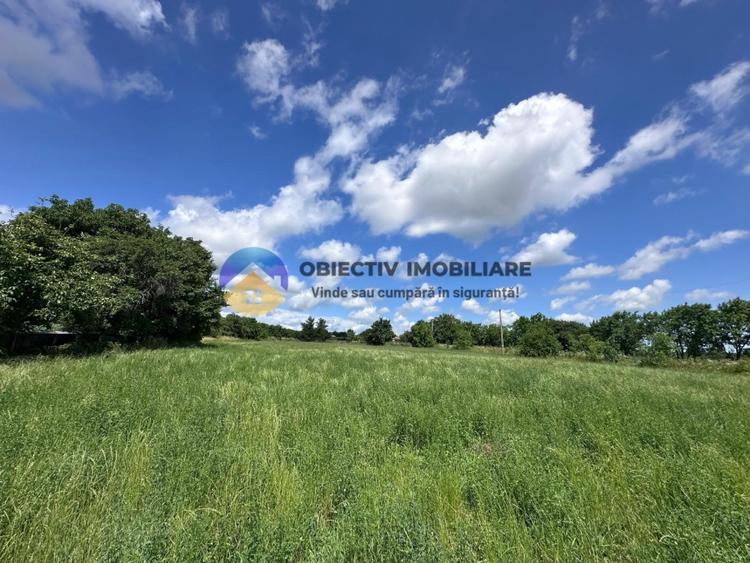 Teren Construcții intravilan de 5654 mp, în Dragomirești
