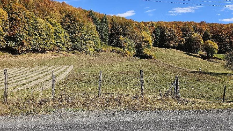 Teren de 5200 mp, în Teliu