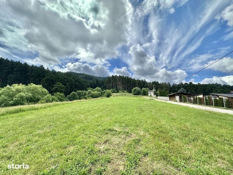 Teren intravilan de vanzare Sacele, Str. Highisului 3.600 mp - 1