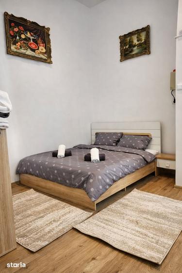 Apartament 1 Camera De Inchiriat | Ultracentral | Piata Unirii | UMF - 1