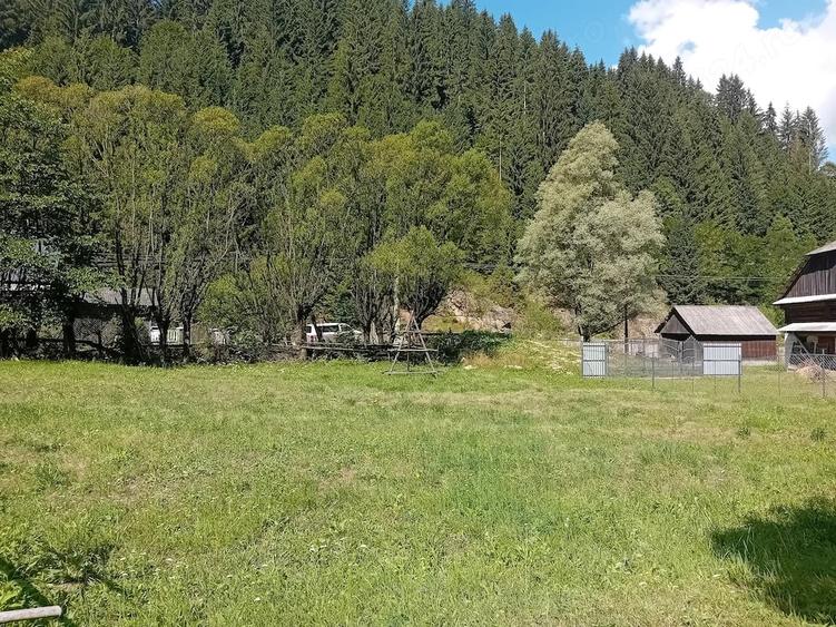 Teren de 5800 mp, în Dămuc