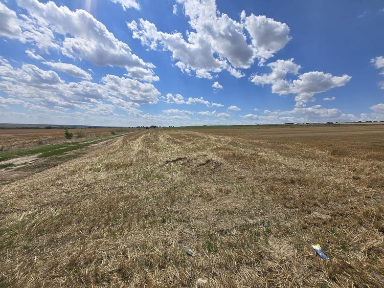 Teren agricol extravilan de 8333 mp, în Nord-Est