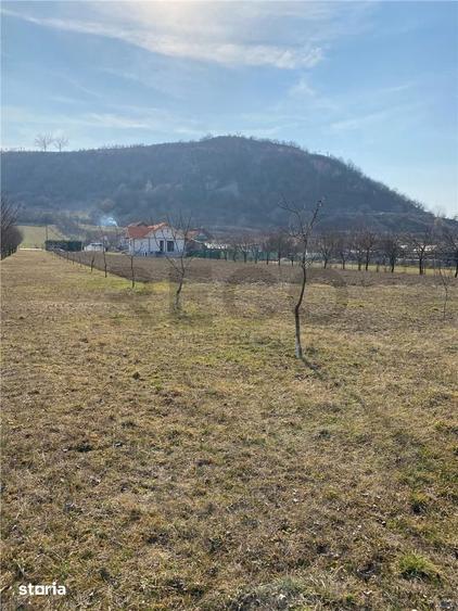 Teren de 800 mp, în Aștileu