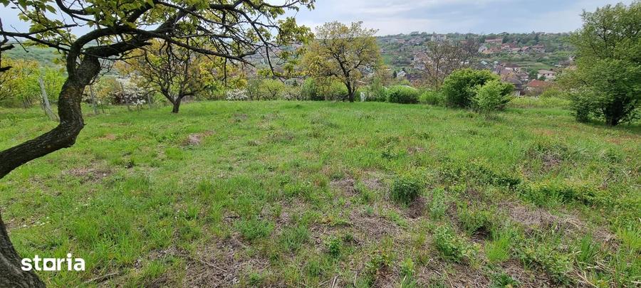 Teren de 1607 mp, în Oncea