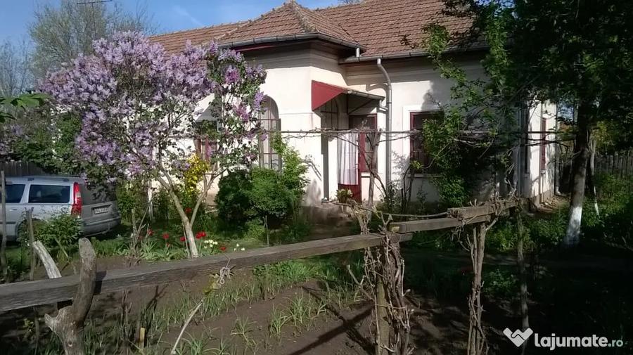Vand casa locuibila in com. Giubega jud. Dolj - 6
