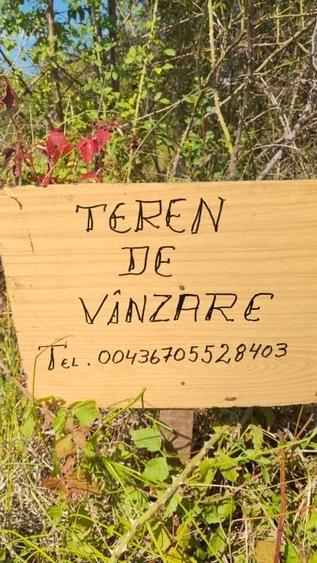 Teren Construcții intravilan de 4424 mp, în Călinești-Oaș