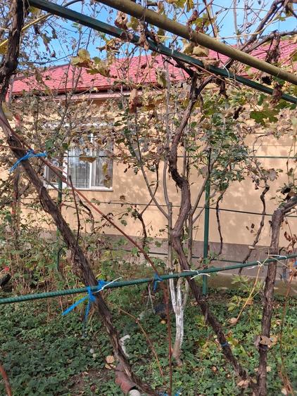 Casă cu 3 camere cu Teren 400 Mp în Central