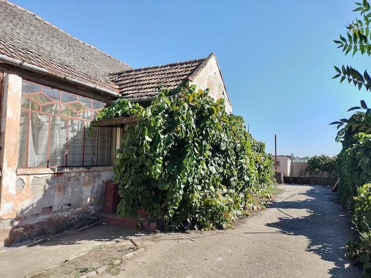 Casă cu 4 camere cu Teren 2870 Mp în Gottlob