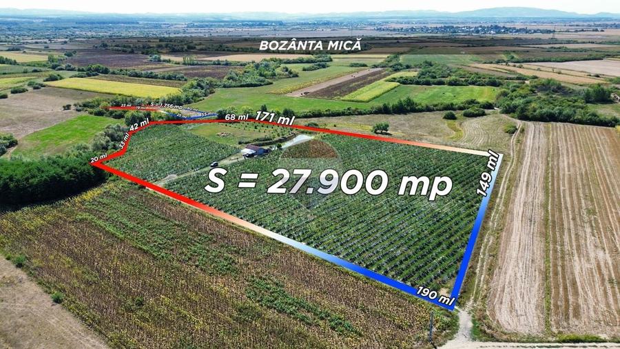 Teren agricol extravilan de 29656 mp, în Bozânta Mică
