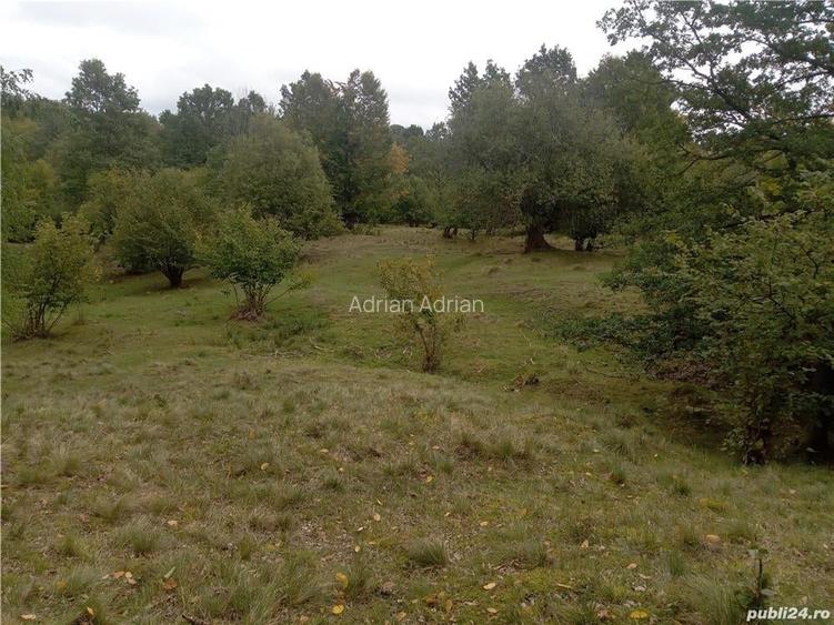 Teren de 16800 mp, în Central