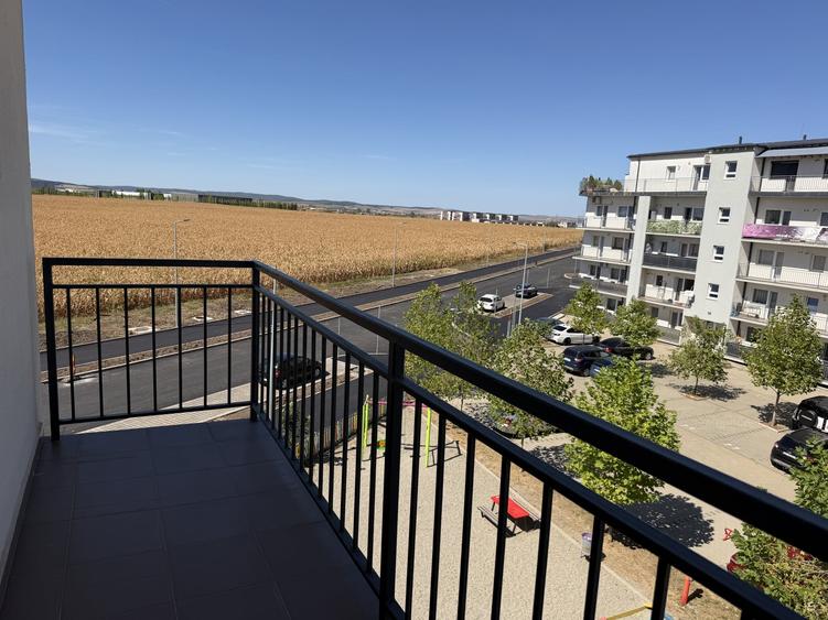 Apartament cu 2 camere nedecomandat, mobilat în Turnișor