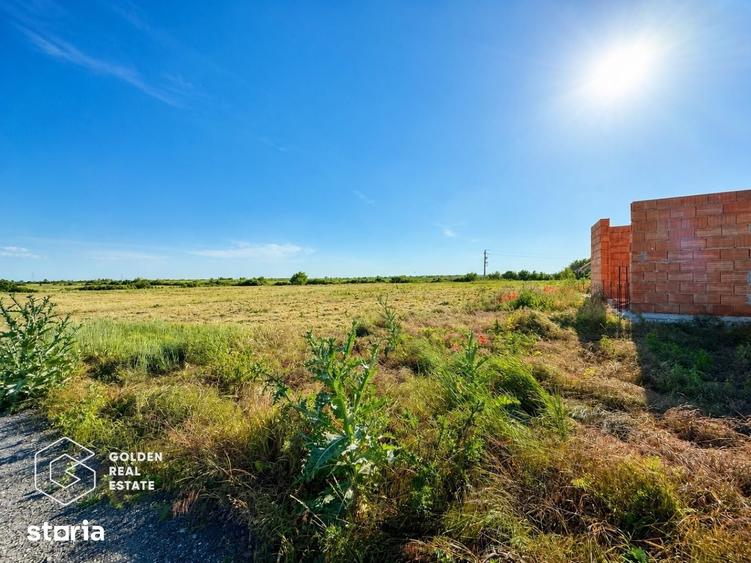 Terenuri pentru case tip duplex in Sacalaz oportunitate de investi?i - 2