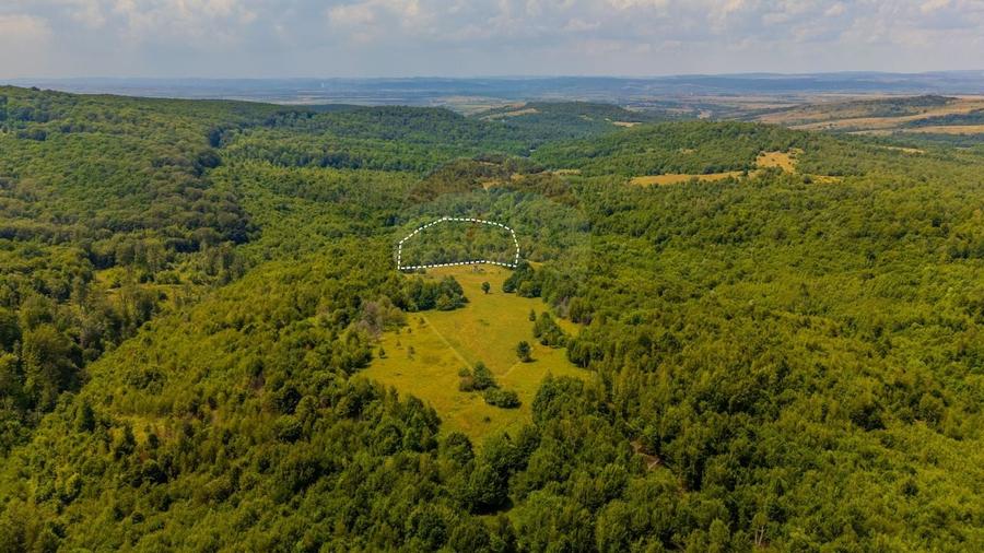 Teren Construcții intravilan de 6572 mp, în Grid