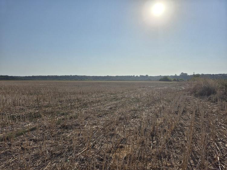 Teren agricol intravilan de 22400 mp, în Periș