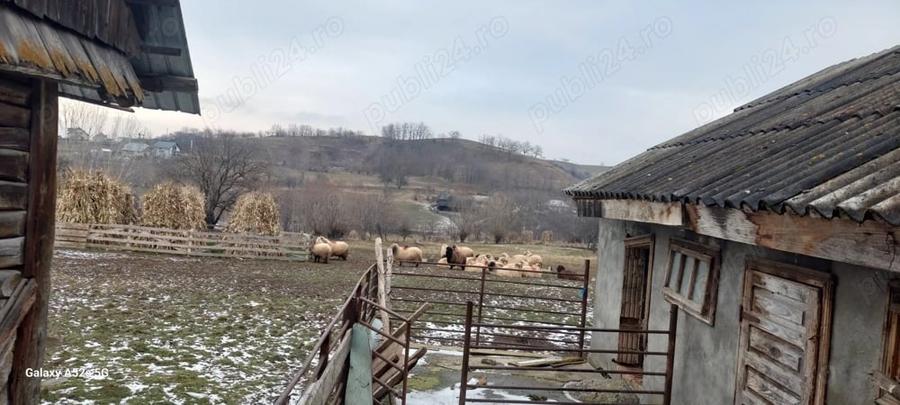 Teren de 6900 mp, în Rotopănești