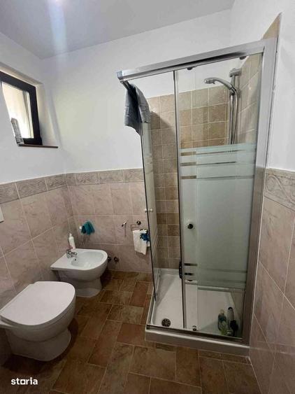 Casă cu 4 camere cu Teren 3808 Mp în Mestecăniș
