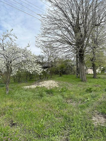 Teren de 7491 mp, în Găiseanca
