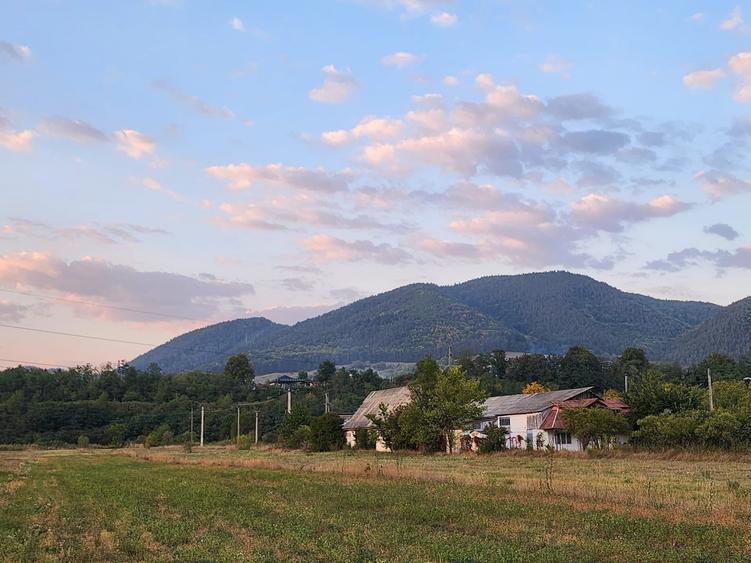 Teren Construcții intravilan de 8200 mp, în Alexandru cel Bun