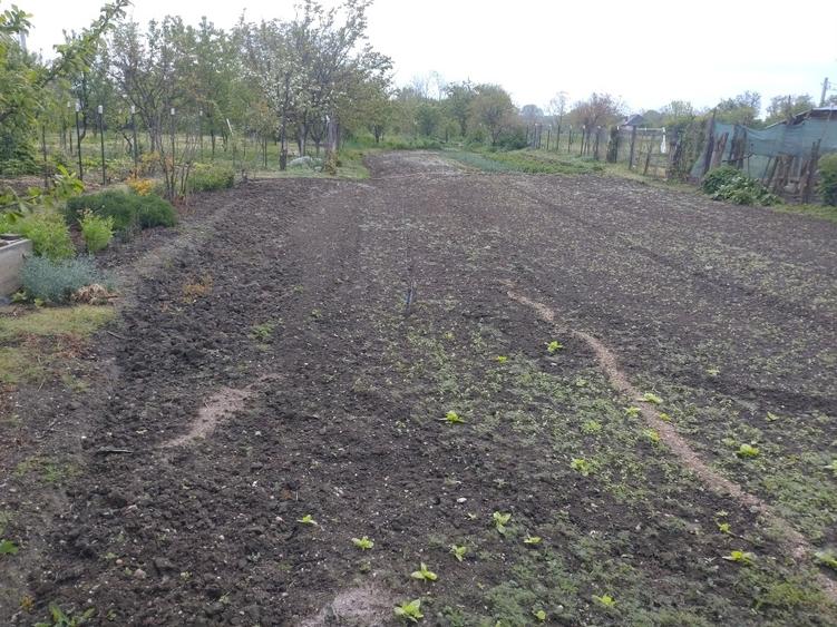 Casă individuală cu 2 camere cu Canalizare în Corbii Mari