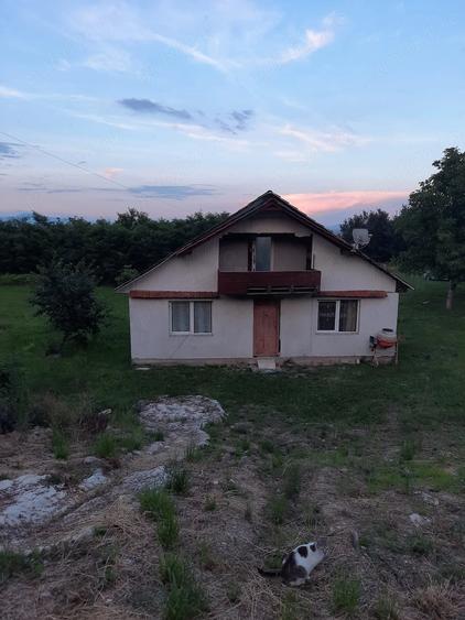 Casă cu Teren 2900 Mp în Ardusat
