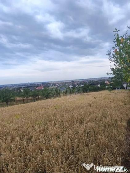 Teren în Păulești
