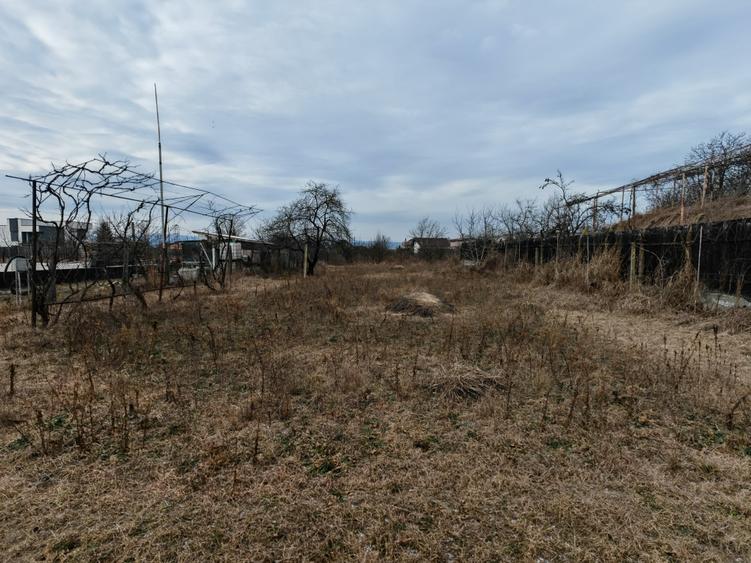 Teren Construcții intravilan de 2005 mp, în Letea