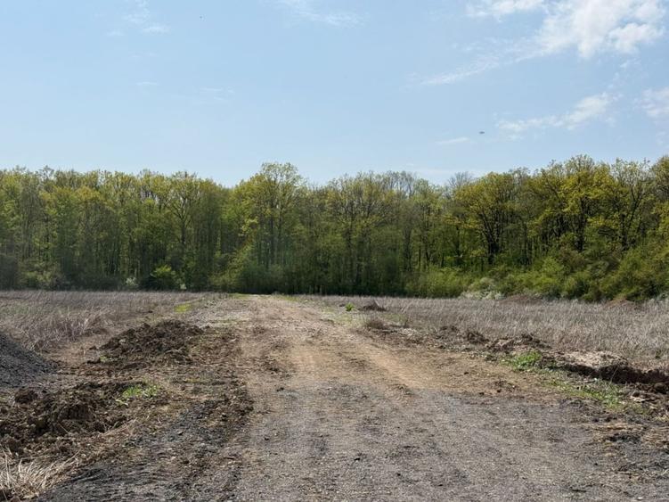 Teren Construcții intravilan de 500 mp, în Tunari
