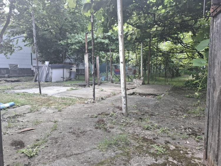 Spațiu comercial, în Griviței