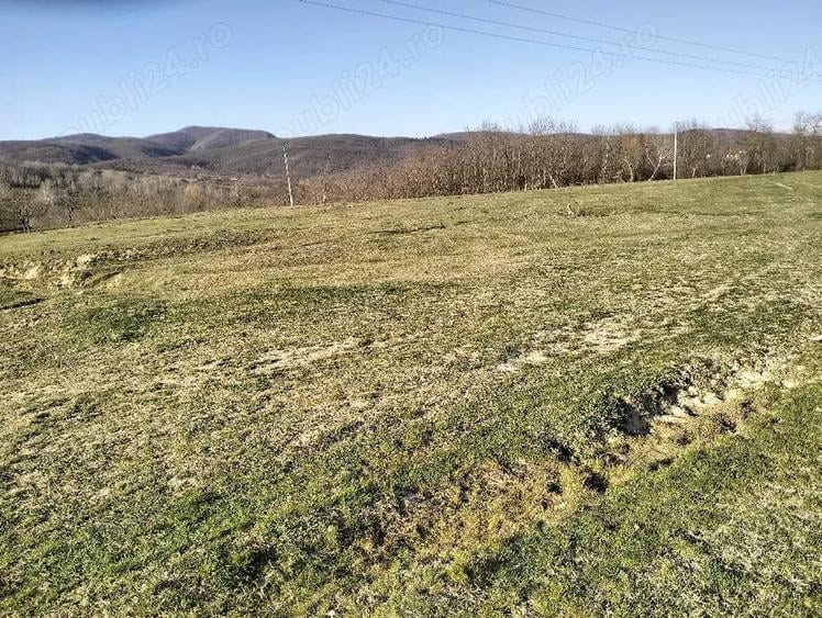 Teren de 10600 mp, în Crocna