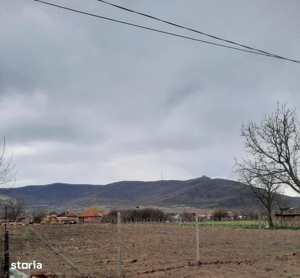 Teren de 1405 mp, în Șiria