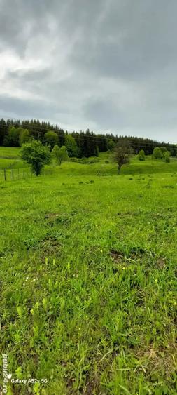Teren de 3465 mp, în Trăisteni