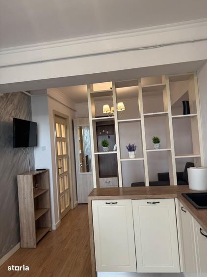 De inchiriat apartament open space, etajul 5/6, parcare inclusa, Copou - 8