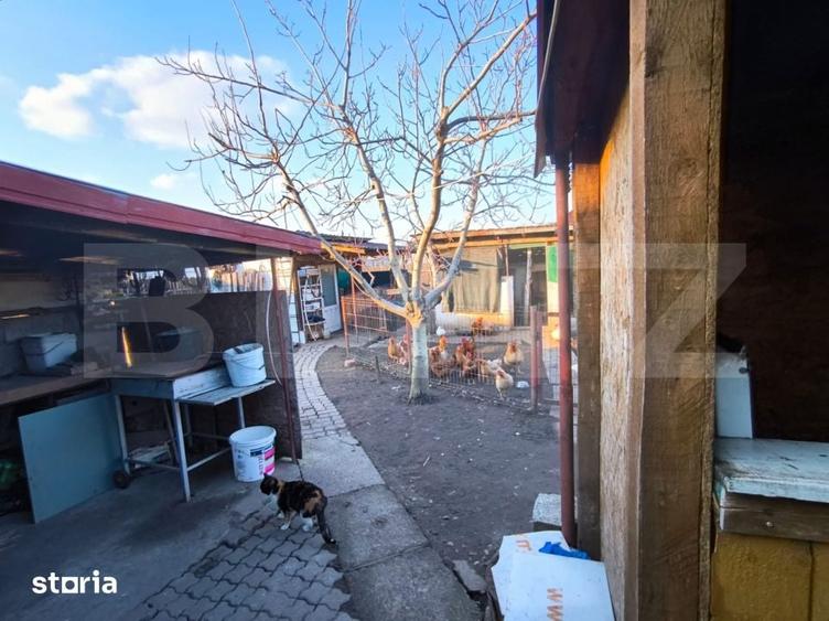 Casă cu 4 camere decomandat cu Teren 2000 Mp în Leu