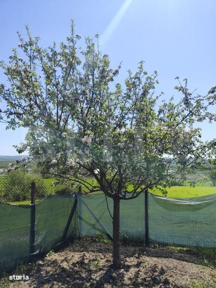 Casă cu 3 camere cu Teren 678 Mp în Mogoșești